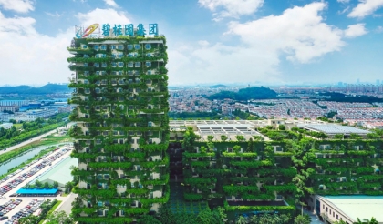 碧桂園地産集團指定用品